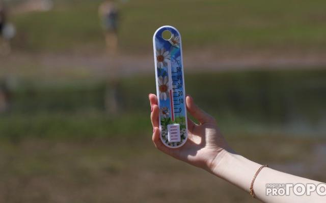 Прогноз погоды: в выходные в Чепецке будет  + 25°C