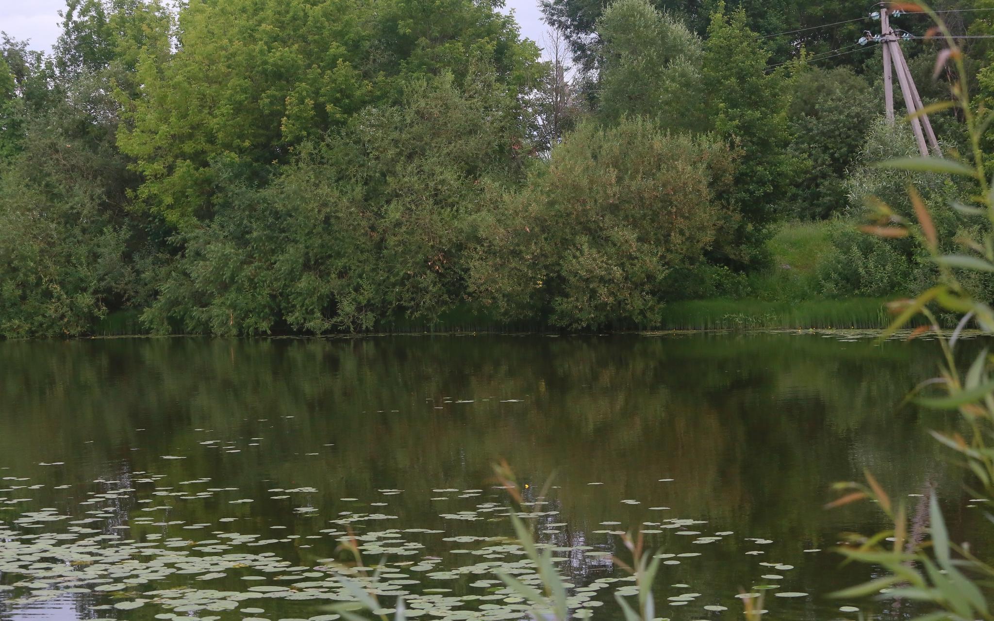 В Кировской области у пруда нашли тело пропавшего 10-летнего мальчика