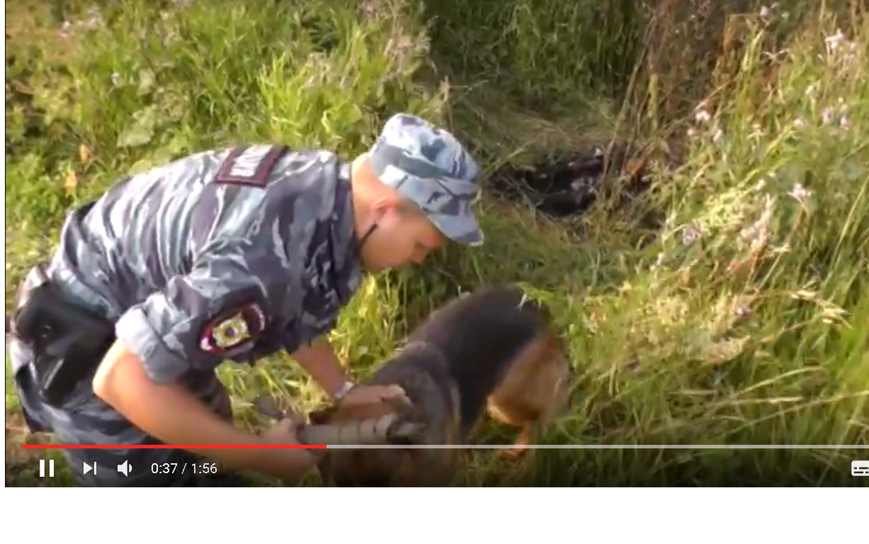 В Кирове садовод нашел в траве догорающее тело человека