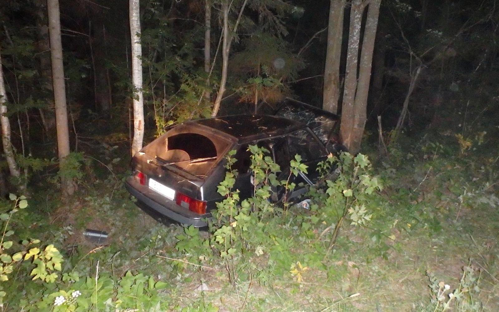 В Кирово-Чепецком районе ВАЗ врезался в дерево: пострадали три человека