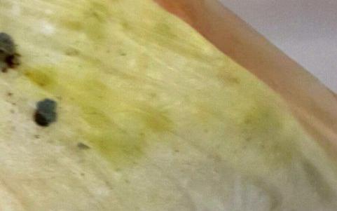 6 неприятных сюрпризов в еде чепчан: таракан в твороге, курица со слизью и замшелый хлеб