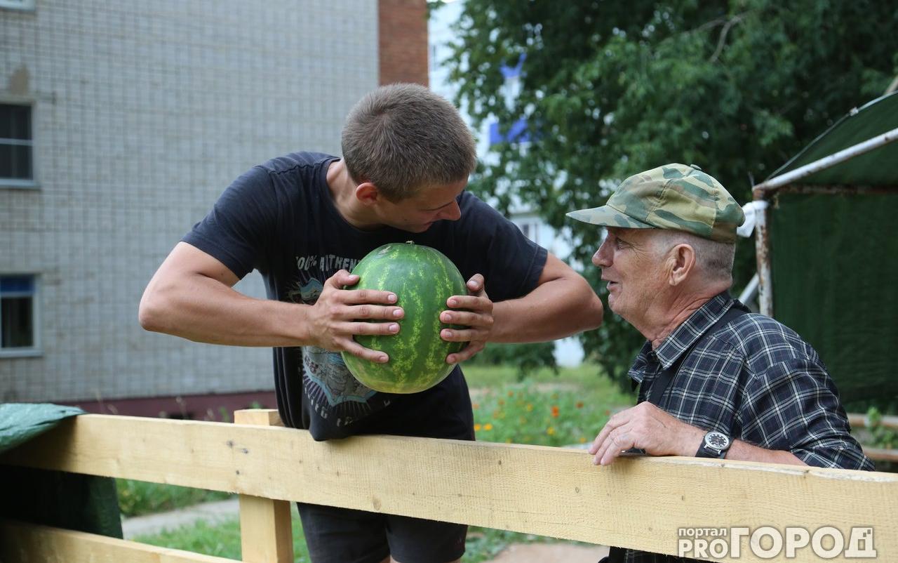 В Кирово-Чепецке охранники арбузного базара у «Авангарда» мешают спать горожанам