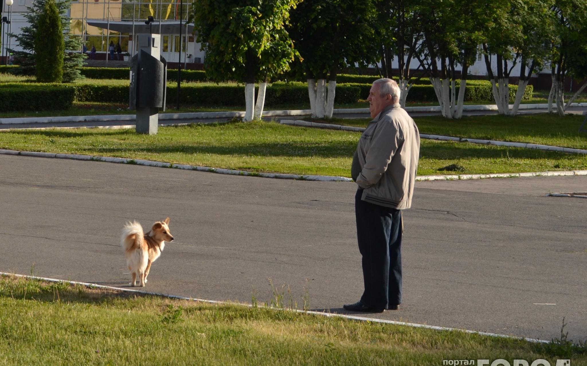 Прогноз погоды: какими будут выходные в Чепецке?