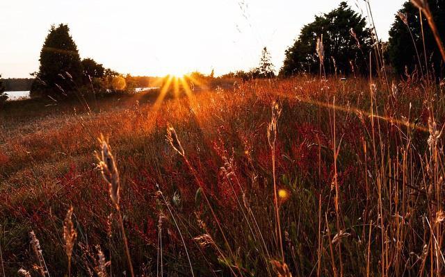 Погода в Кирово-Чепецке: в выходные станет теплее