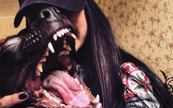 Как прошла неделя у чепчан: свадьба, краски осени и любимый питомец