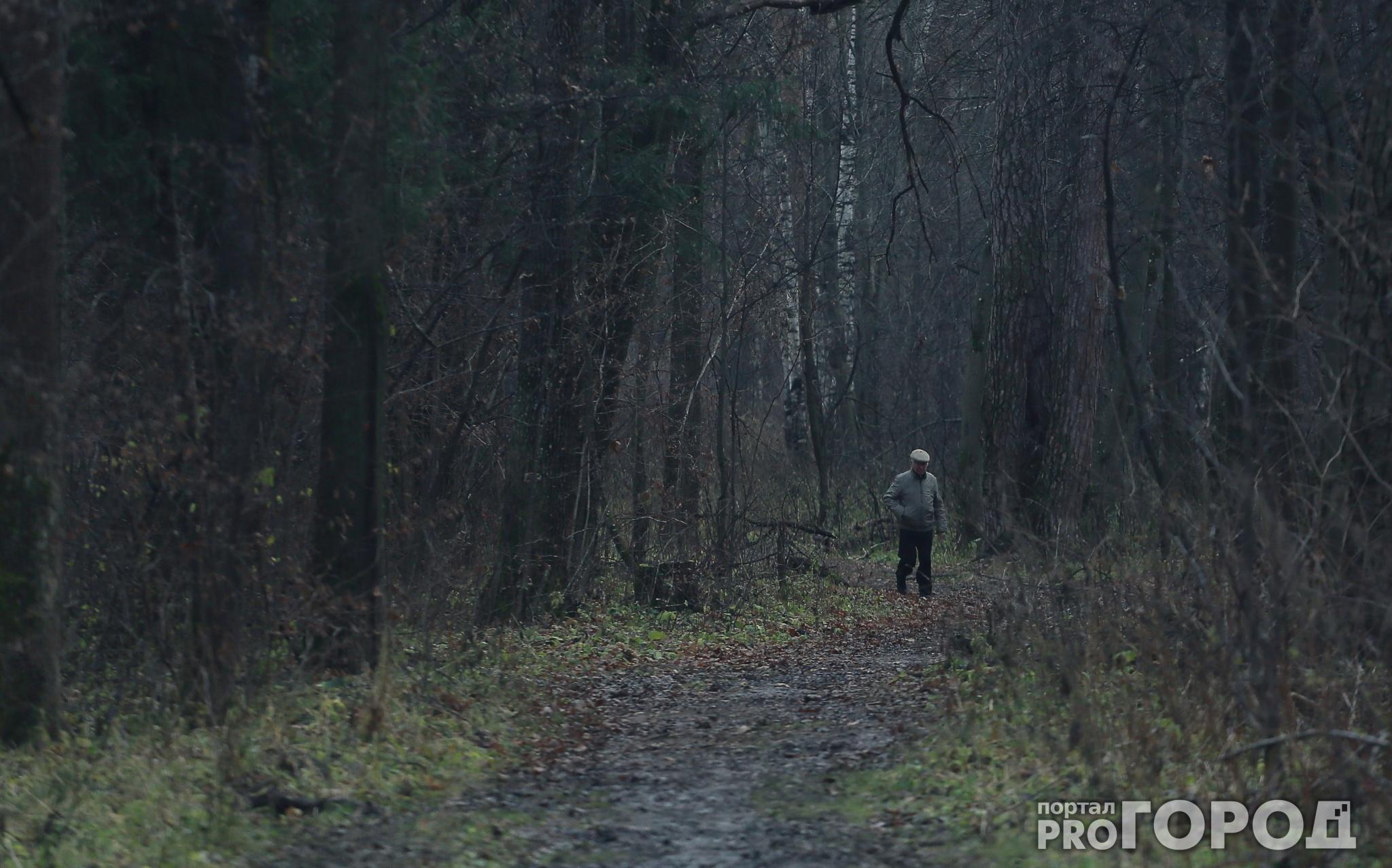 В Кирово-Чепецком районе заблудившегося грибника искали сутки