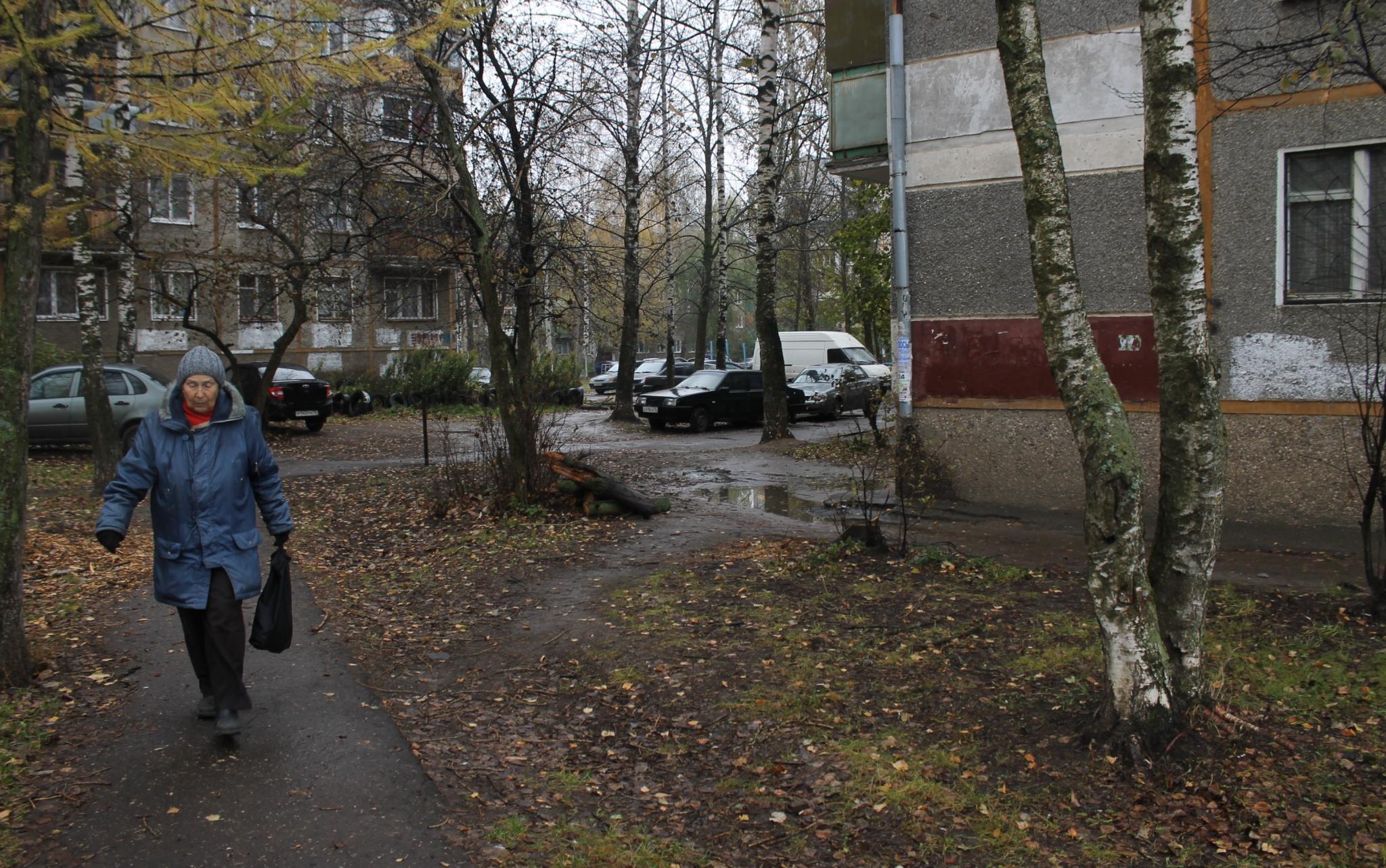 Прогноз погоды: какими будут выходные в Кирово-Чепецке?