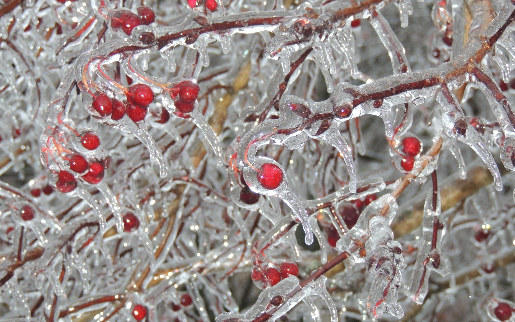 В Кировской области объявили метеопредупреждение