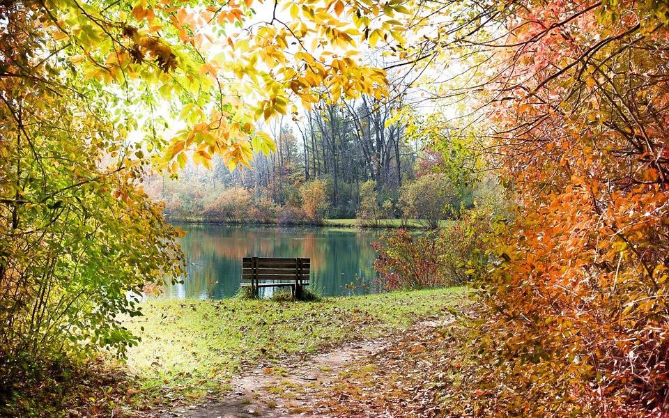 Прогноз погоды: какой будет рабочая неделя в Чепецке?