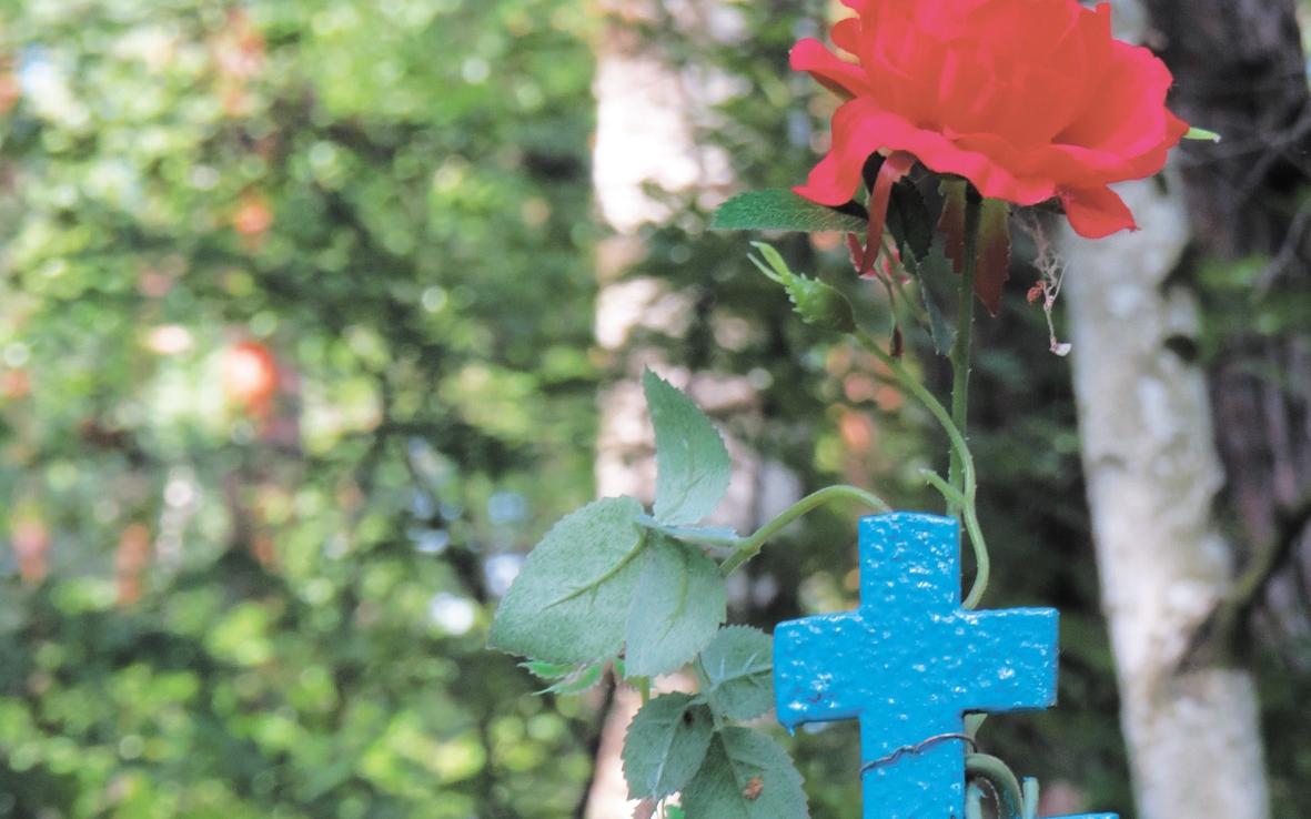 Что нужно знать о выборе ритуального агентства?