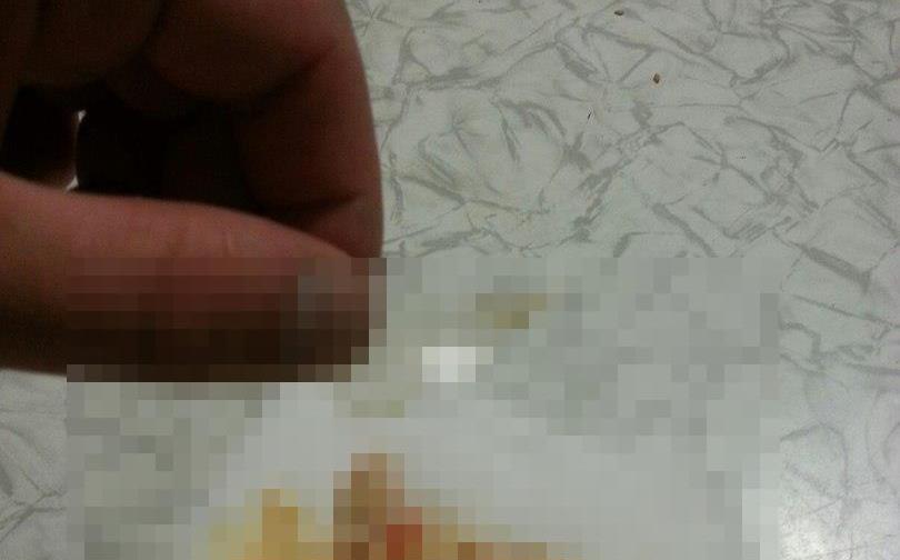 8 неприятных сюрпризов в еде чепчан: плесень в йогурте и пакет в шаурме