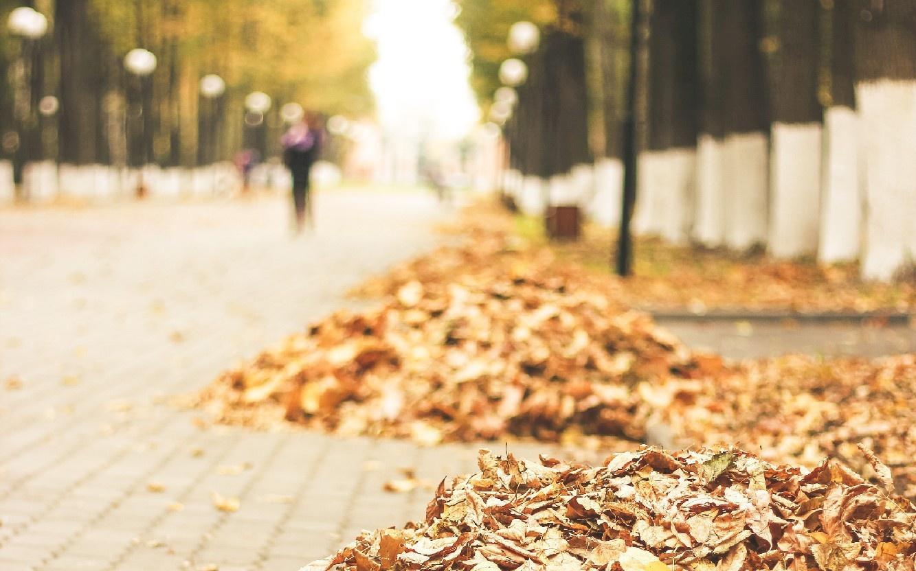 Прогноз погоды: какими будут выходные в Кирово-Чепецке?