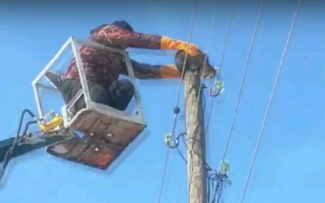 В Чепецком районе сотрудник ЖКХ снял с 9-метровой высоты кота