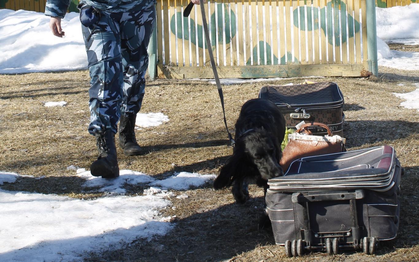 Чепчанка пропала во время отдыха в Абхазии