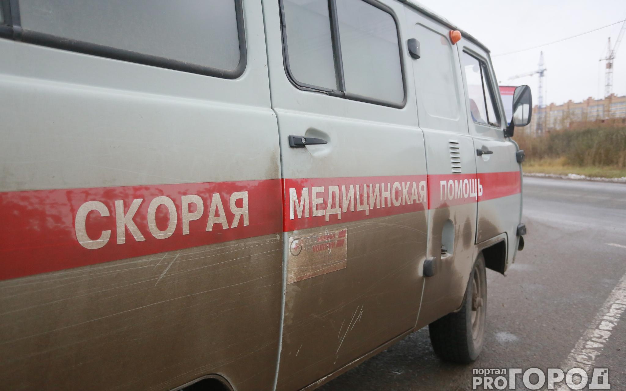 Хозяйке собак, которые загрызли мужчину в Чепецке, грозит срок
