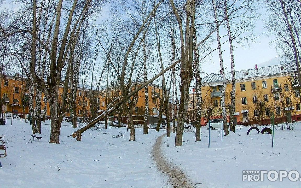 На Калинина дерево падает на пешеходов