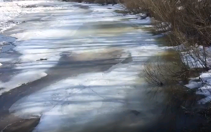 На Чепце начался ледоход