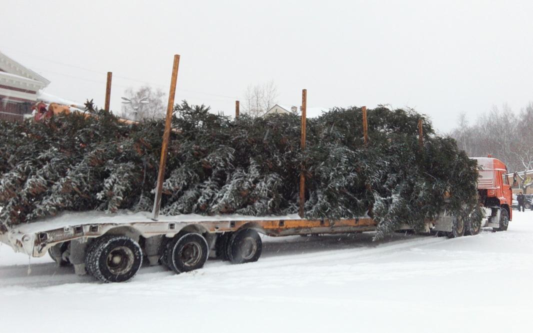 В Чепецке установили еще одну новогоднюю елку