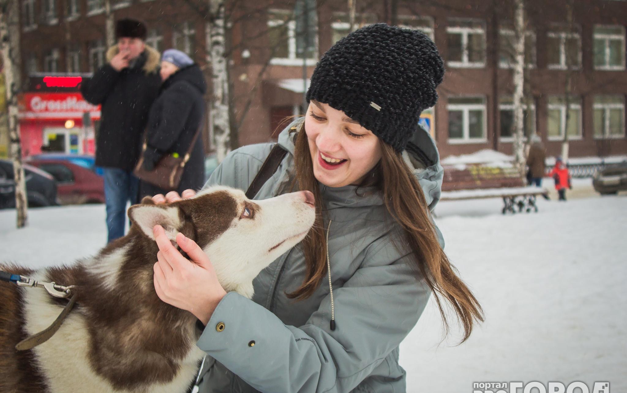 Жалобы чепчан на прошлой неделе: на коллекторов и хозяев собак