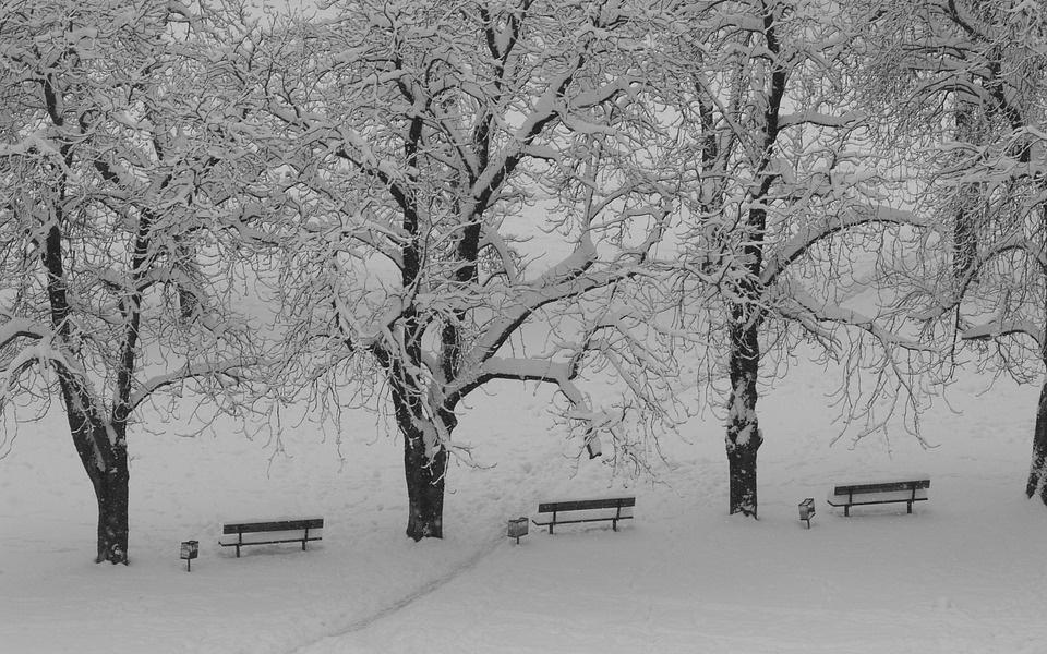 Прогноз погоды: какими будут выходные в Кирово-Чепецке?