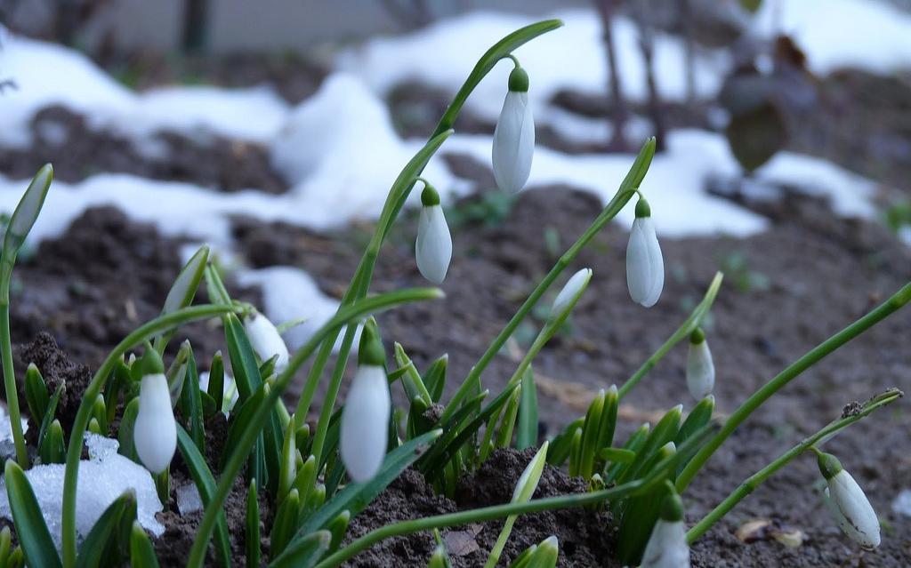 Прогноз погоды: какими будут выходные в Чепецке?