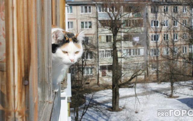 Прогноз погоды: какой будет рабочая неделя в Чепецке?