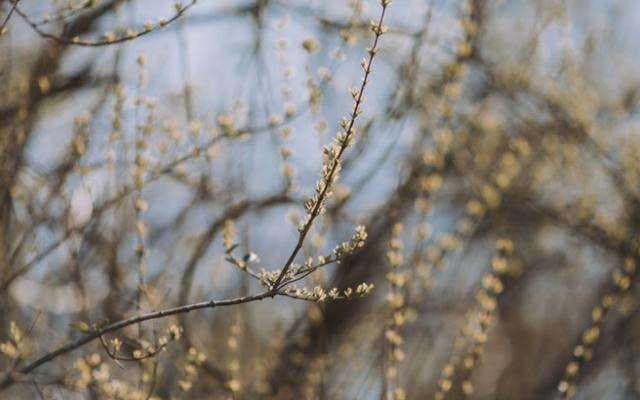 Прогноз погоды: какими будут выходные в Кирово-Чепецке?