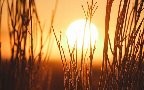 Известно, какой будет погода в Кировской области во вторую и третью декады мая