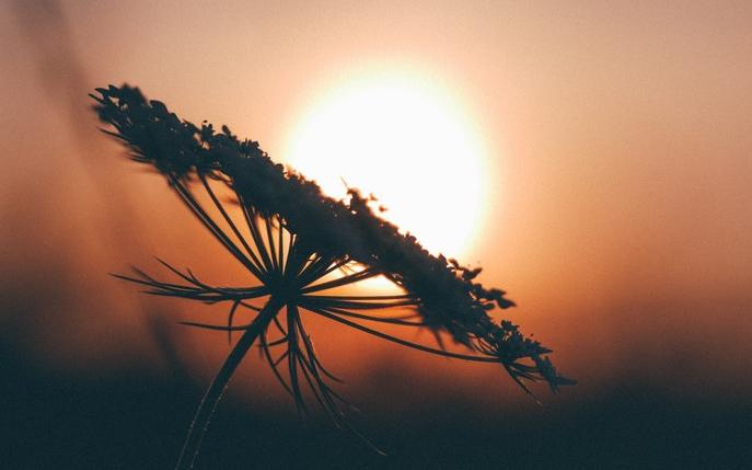 В МЧС рассказали о погоде в Кировской области на четверг