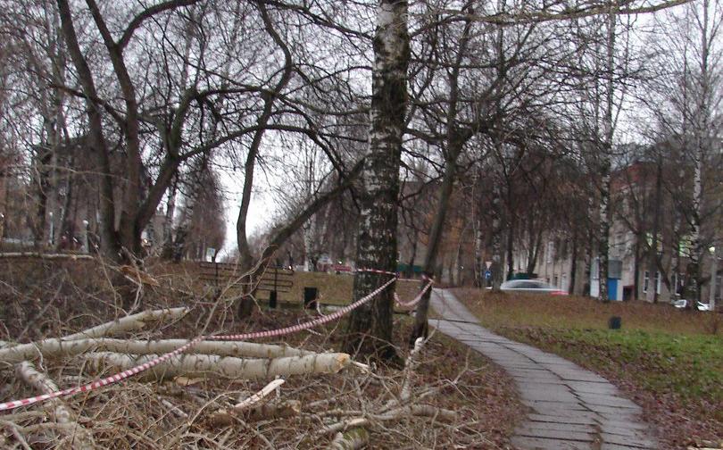 Сквер у администрации Чепецка не будут благоустраивать