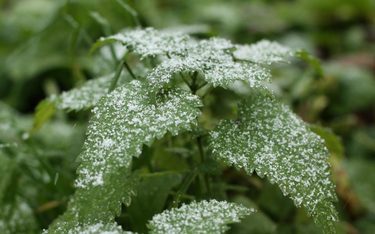 Прогноз погоды: какими будут выходные в Кирово-Чепецке?