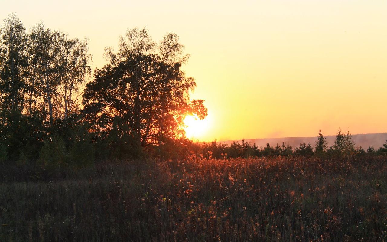 Прогноз погоды: какой будет рабочая неделя в Кирово-Чепецке?