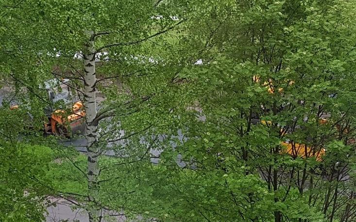 В администрации Чепецка прокомментировали укладку асфальта во время снега