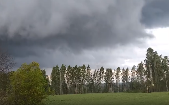 В Кировской области пронесся смерч: очевидец снял на видео стихию