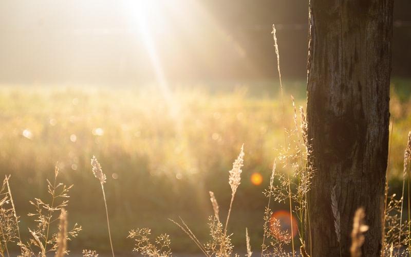На неделе в Чепецке потеплеет до +19°C