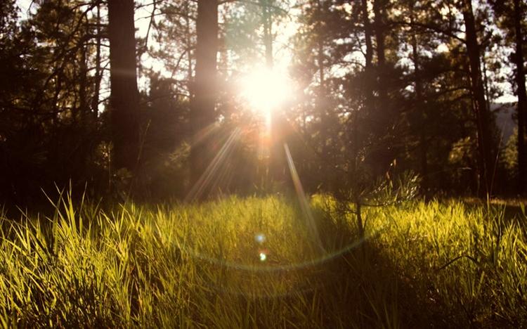 Прогноз погоды: на выходных в Кирово-Чепецке потеплеет