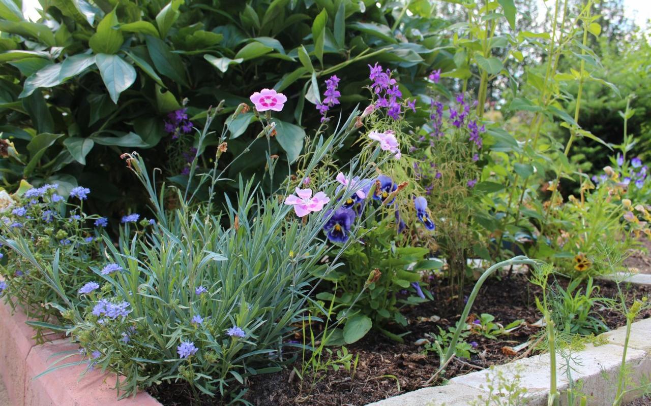 Стало известно, сколько тысяч цветов высадили в Чепецке