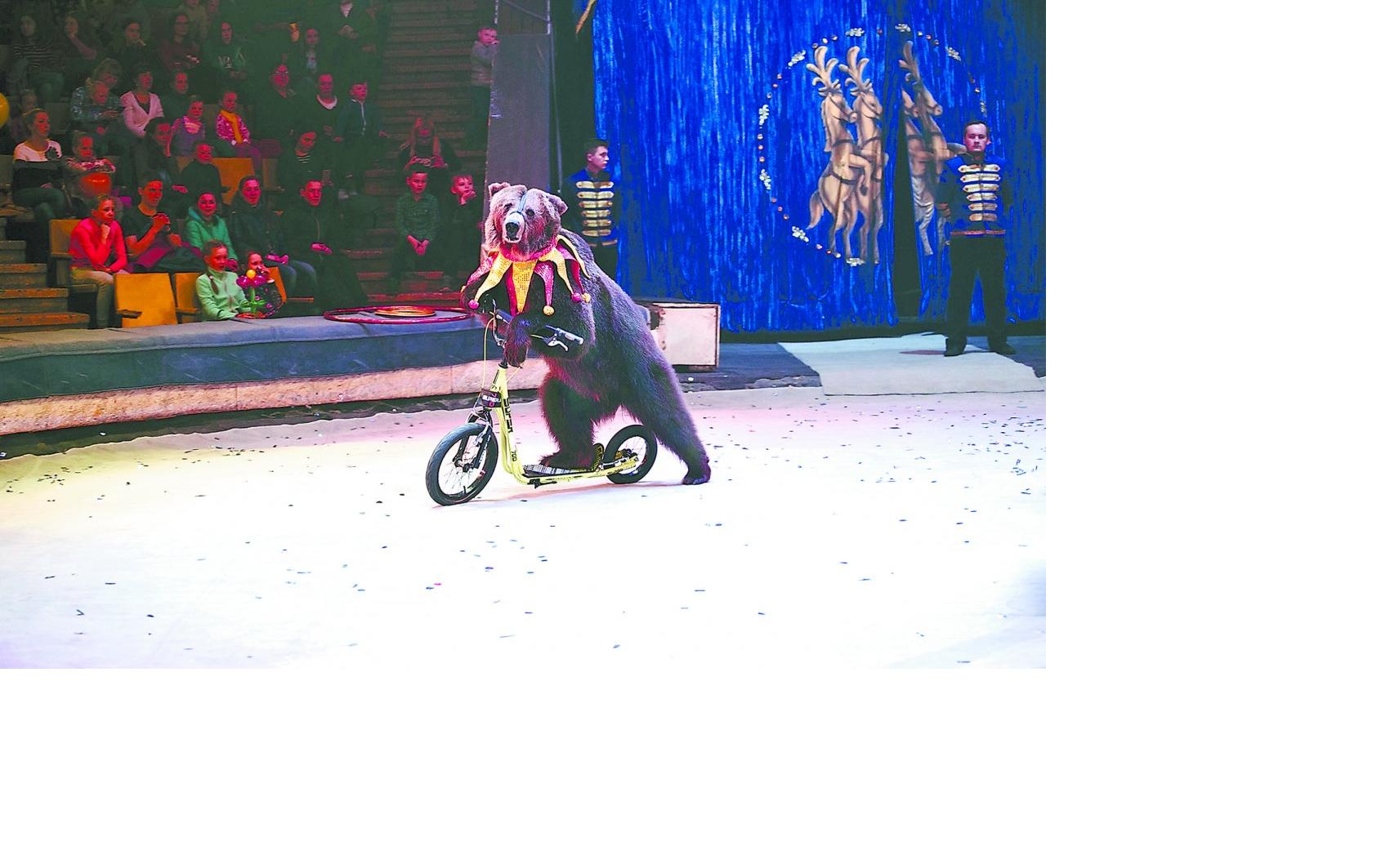 Полный восторг и аншлаг: Цирк Никулина поразил кировчан