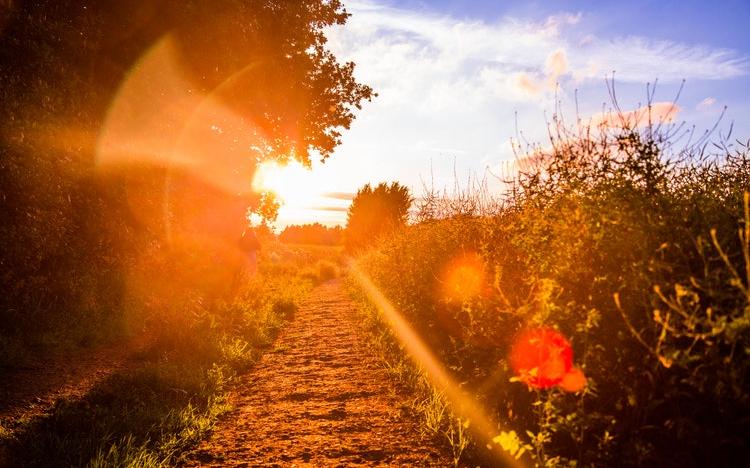 Прогноз погоды: какой будет рабочая неделя в Кирово-Чепецке?