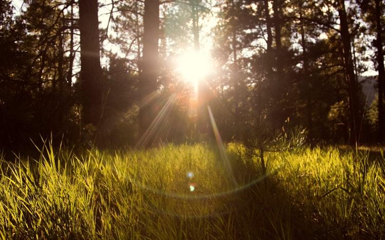 В Кировской области зафиксирована 34-градусная жара: когда погода изменится