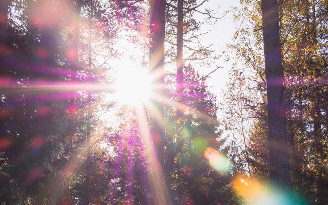 Прогноз погоды: какими будут выходные в Кирово-Чепецке?