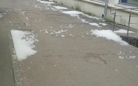 Власти Чепецка рассказали, что делать, если вас раздражает тополиный пух во дворе