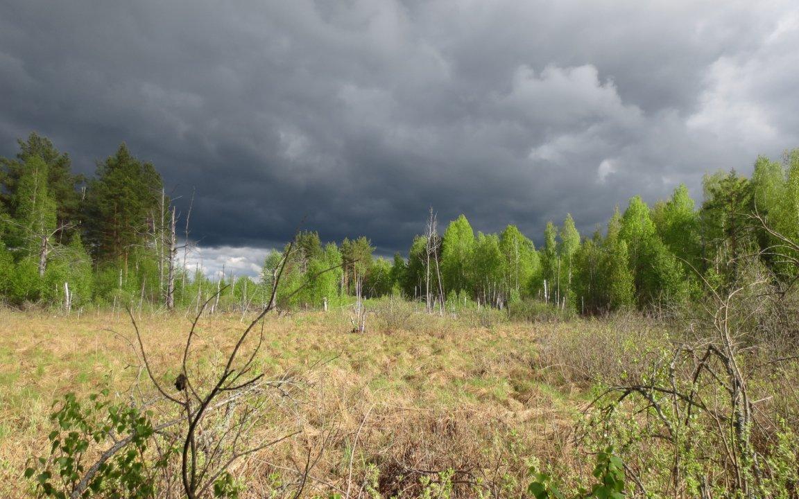 МЧС объявило метеопредупреждение в Кировской области на пятницу