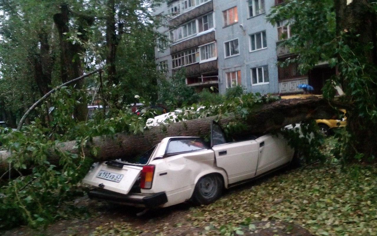 МЧС опубликовало метеопредупреждение в Чепецке на 15 июля