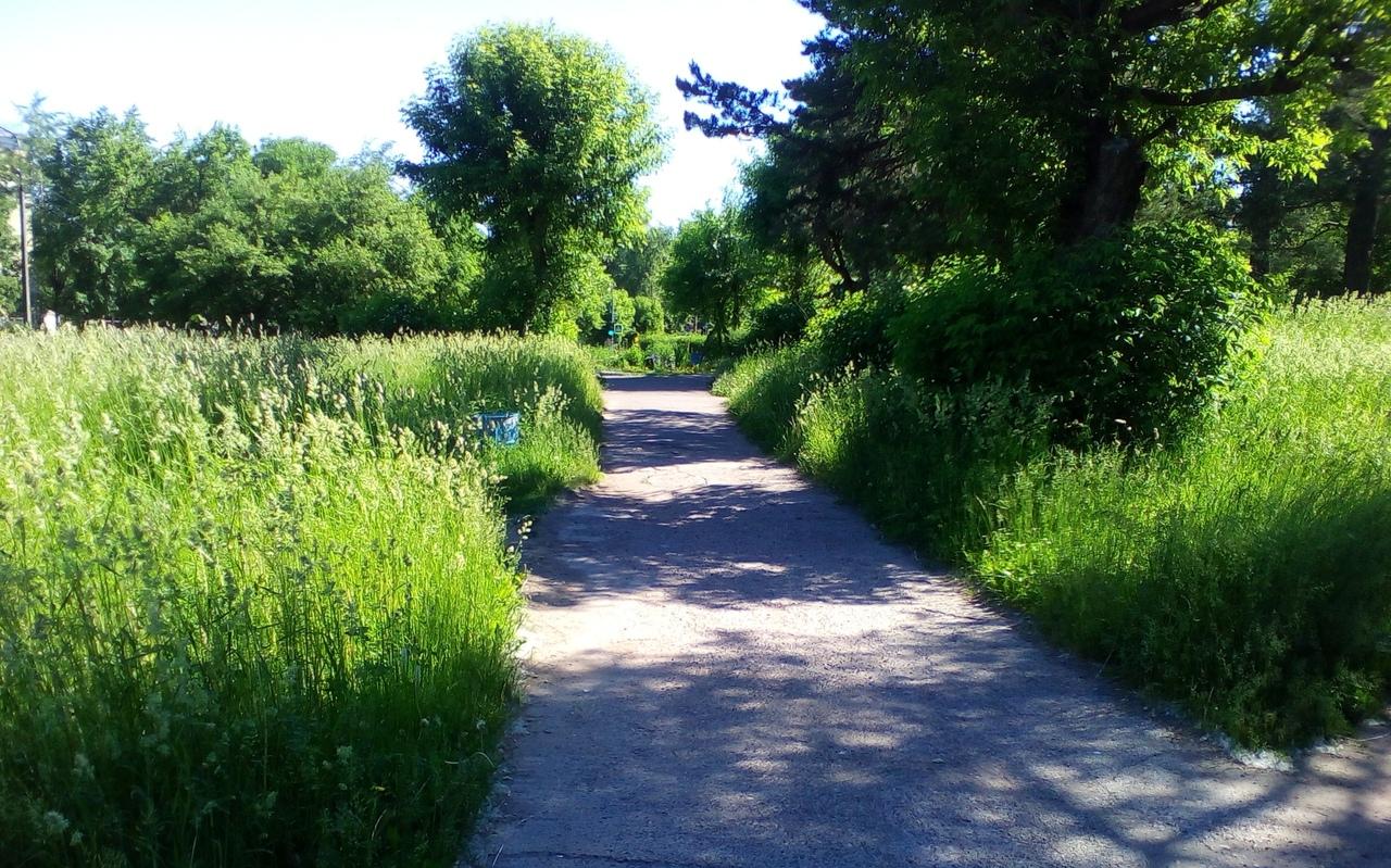 Проверка слухов: в Чепецке не хватает денег на покос травы в городе