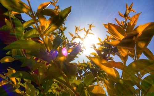 На рабочей неделе в Кирово-Чепецке будет облачно и тепло