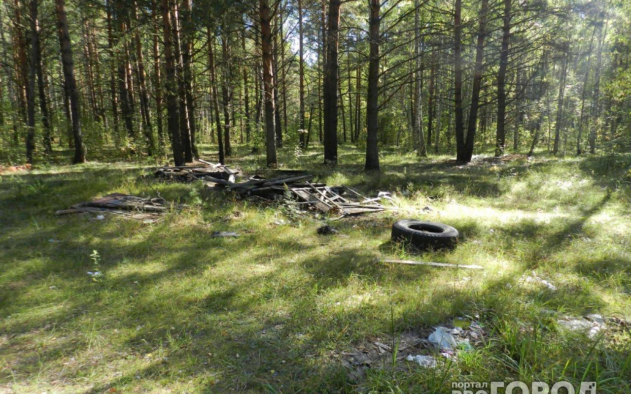 Появились подробности поиска 17-летнего кировчанина в лесу