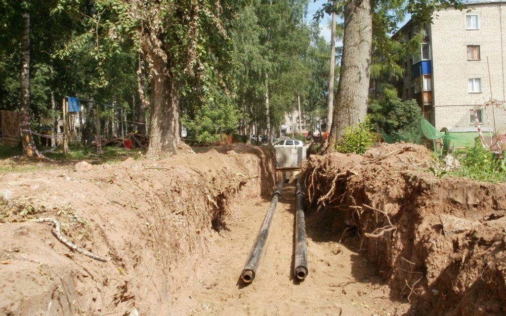 В Чепецке не будут убирать тополь, который встревожил горожан