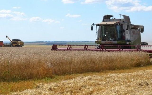 В Кировской области из-за гибели посевов ввели режим чрезвычайной ситуации