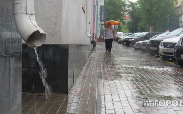 Погода в Кирово-Чепецке: предстоящая неделя будет пасмурной и ветреной